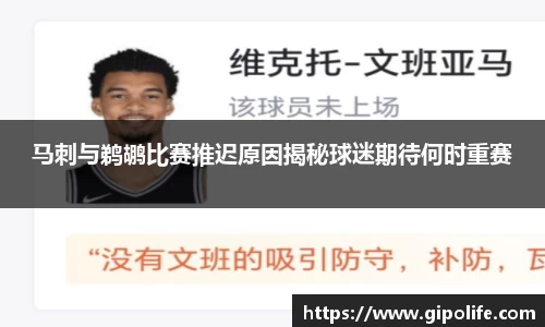 马刺与鹈鹕比赛推迟原因揭秘球迷期待何时重赛