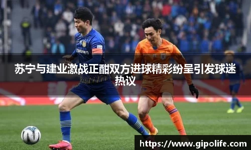熊猫体育网址