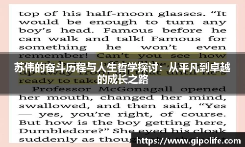 熊猫体育网址