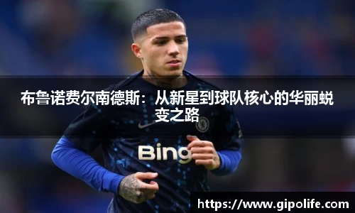 布鲁诺费尔南德斯：从新星到球队核心的华丽蜕变之路