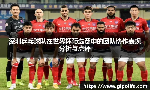 深圳乒乓球队在世界杯预选赛中的团队协作表现分析与点评