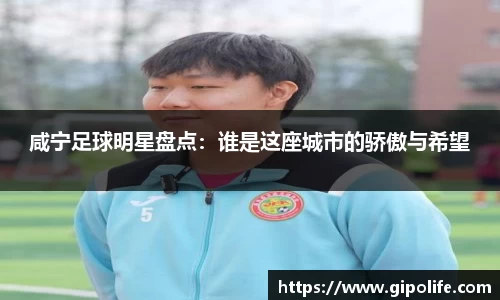 咸宁足球明星盘点：谁是这座城市的骄傲与希望
